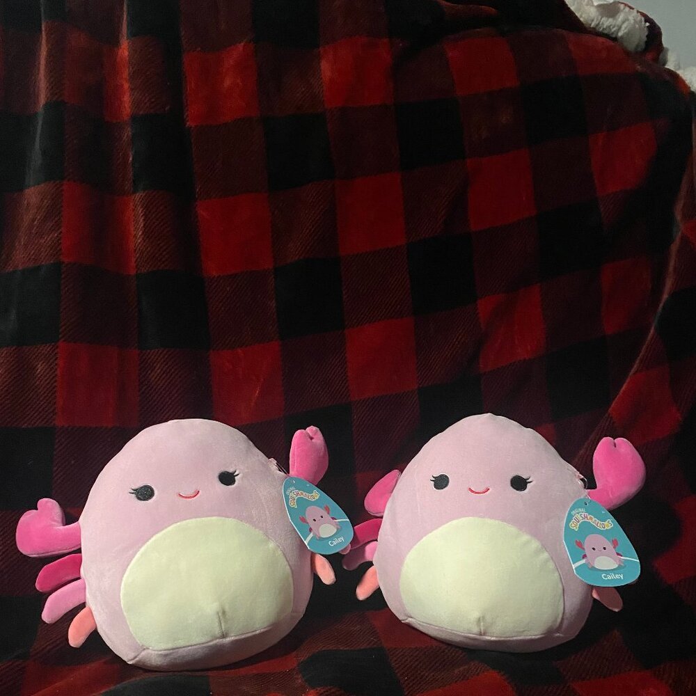 Cailey Pink Crab Squishmallow [ONE]